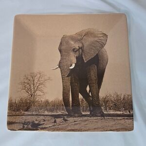 Dario Farrucci Designs 8" Square Salad Plate Elephant Sepia Photo Africa Safari